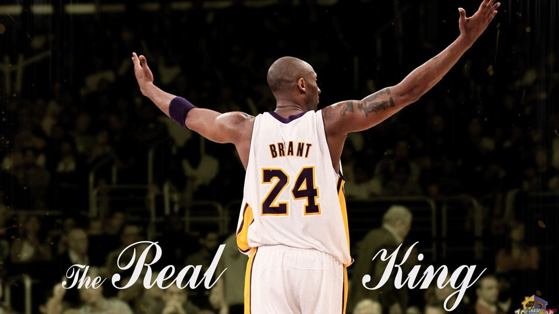 英超密集赛程下球员心率恢复与训练负荷关系，据说英超教练发掘球员的基本准则是不怕有缺点